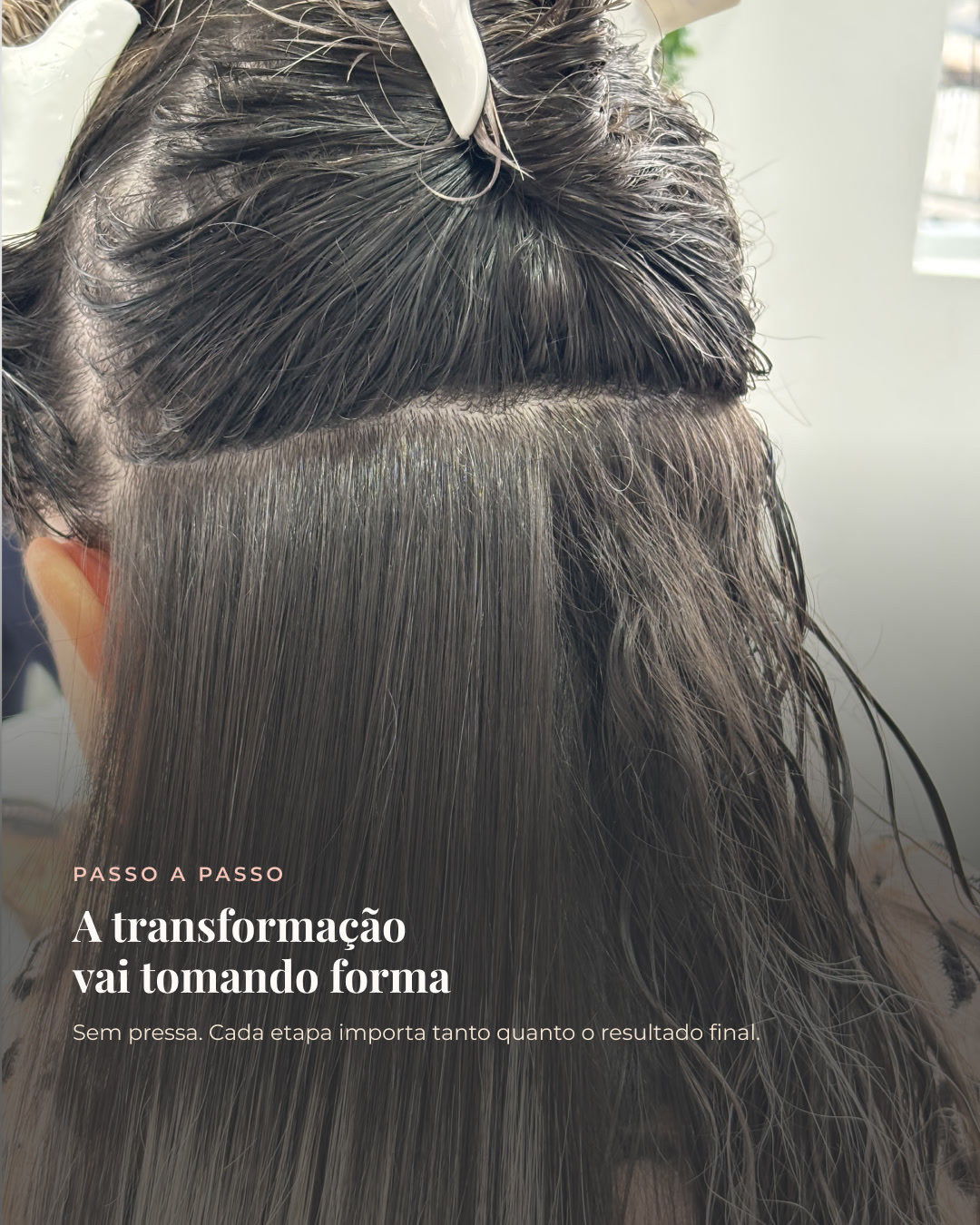 Selagem Orgânica — Transição