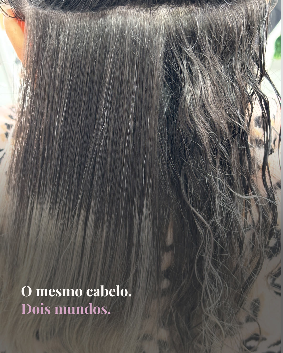 Selagem Orgânica — Comparação lado a lado